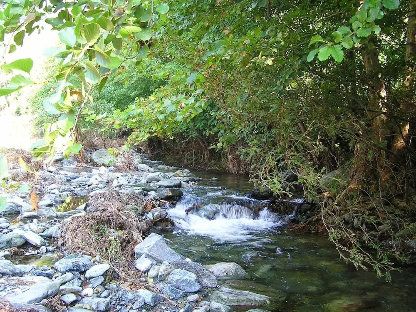 House With one Bedroom in Olmeta-di-capocorso, With Furnished Garden a