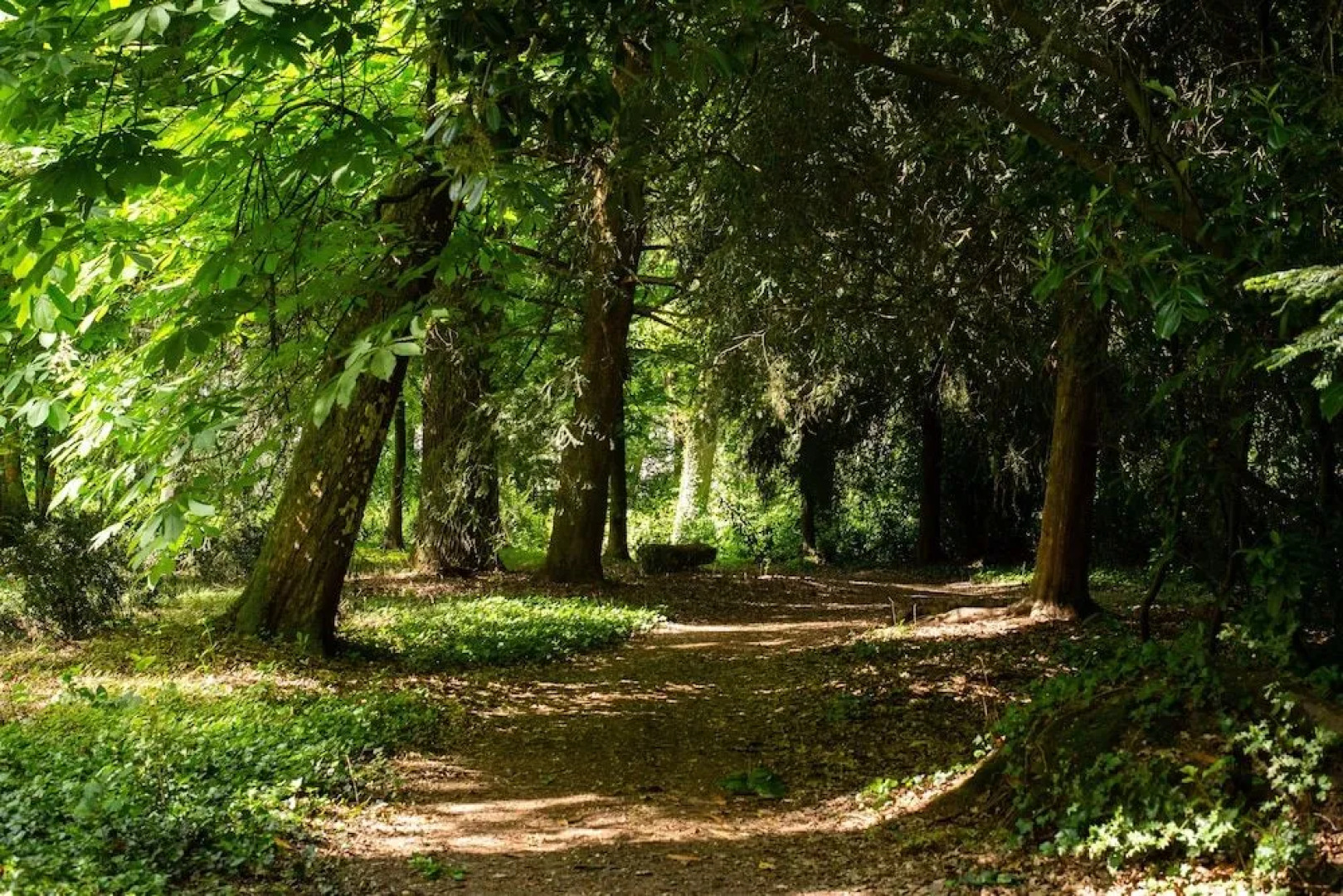 Chateau de la Buronniere
