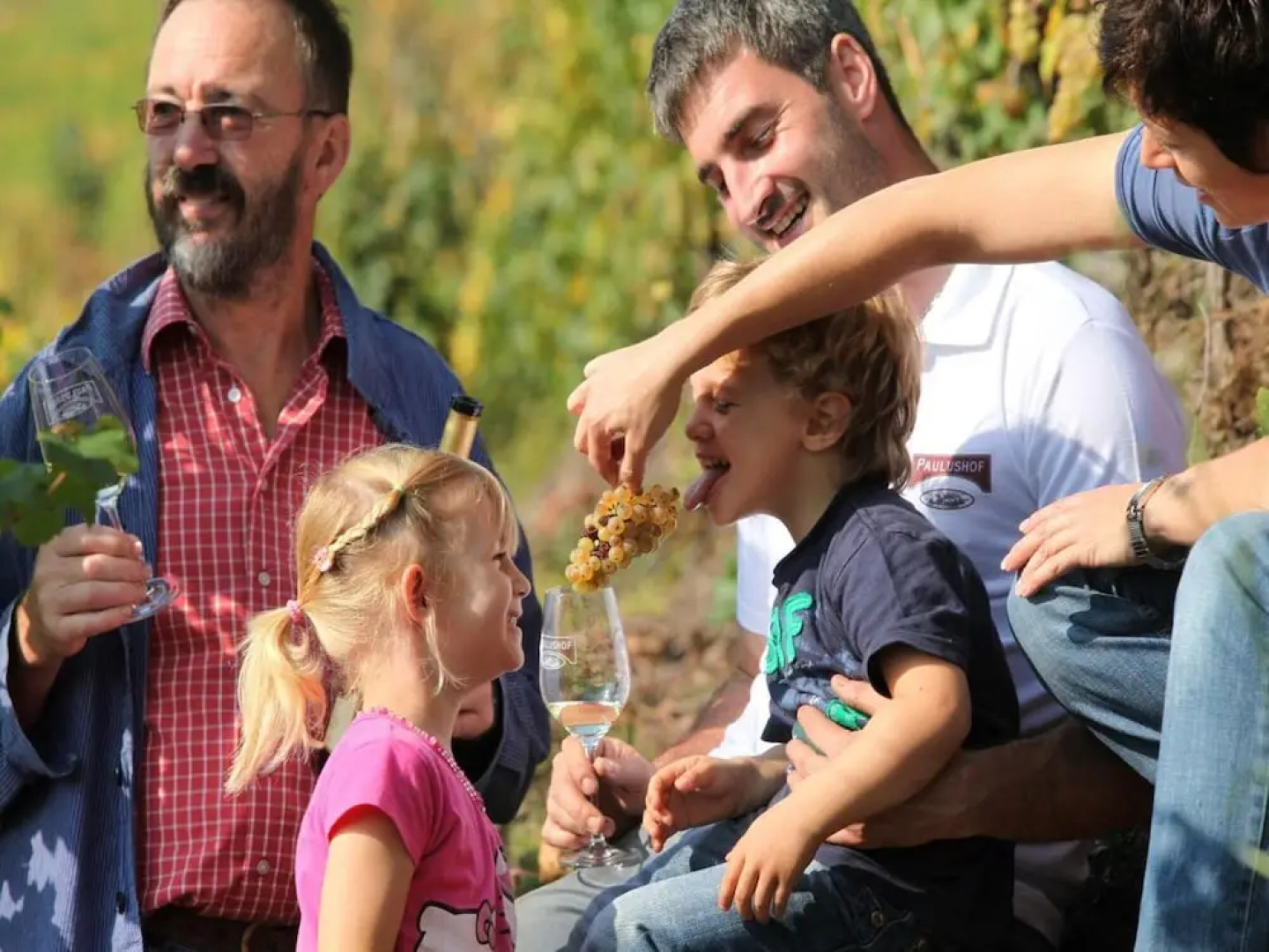 Wein & Wohngut Paulushof