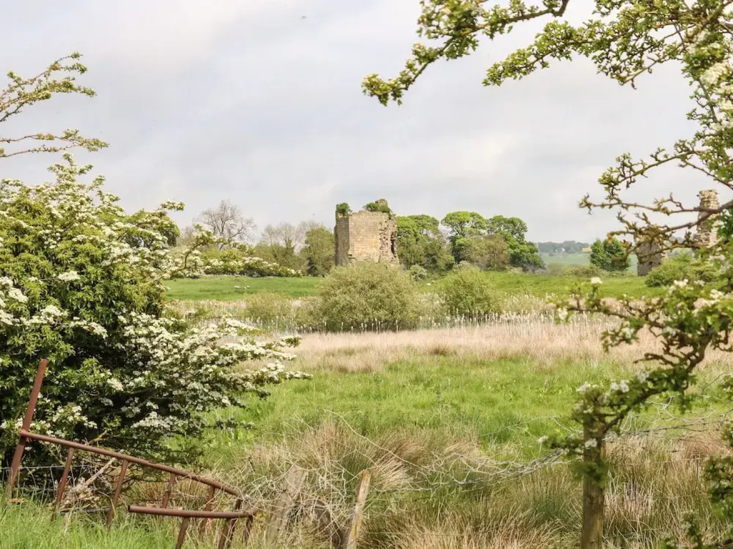 The Arches Larklands