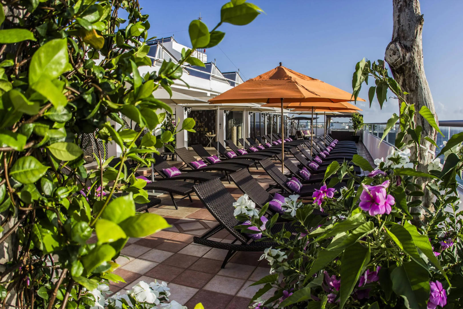 Coral Princess Hotel & Dive Resort