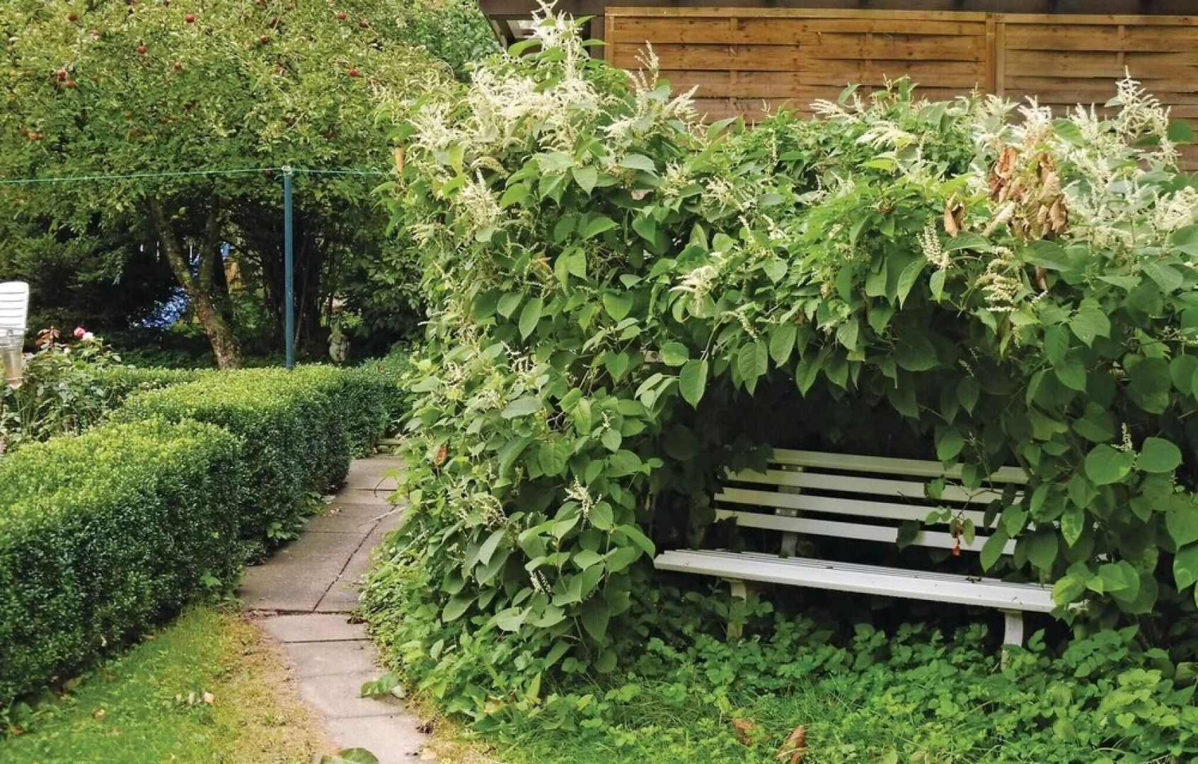 Amazing Home in Schwalenberg With 2 Bedrooms