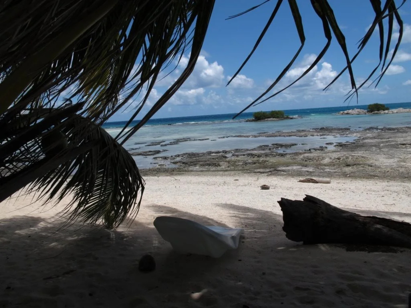 Tikehau Bed and Breakfast