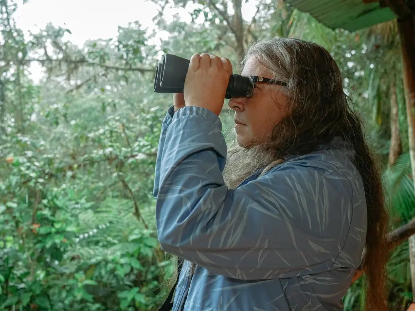 Birdwatchers House y Lodge