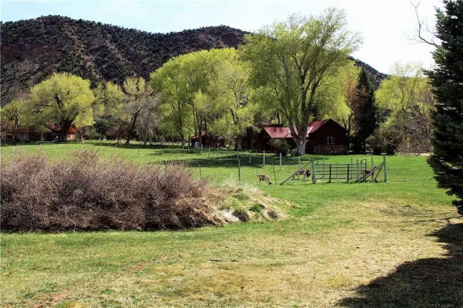 Pack Creek Creekside East by RedAwning