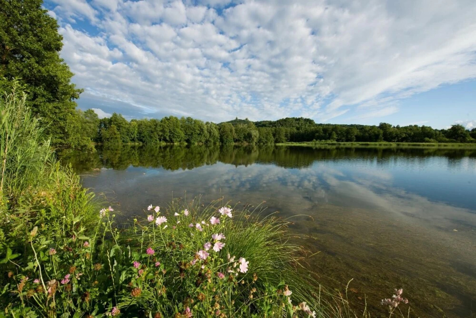 Poolincluded Chalet Jizera