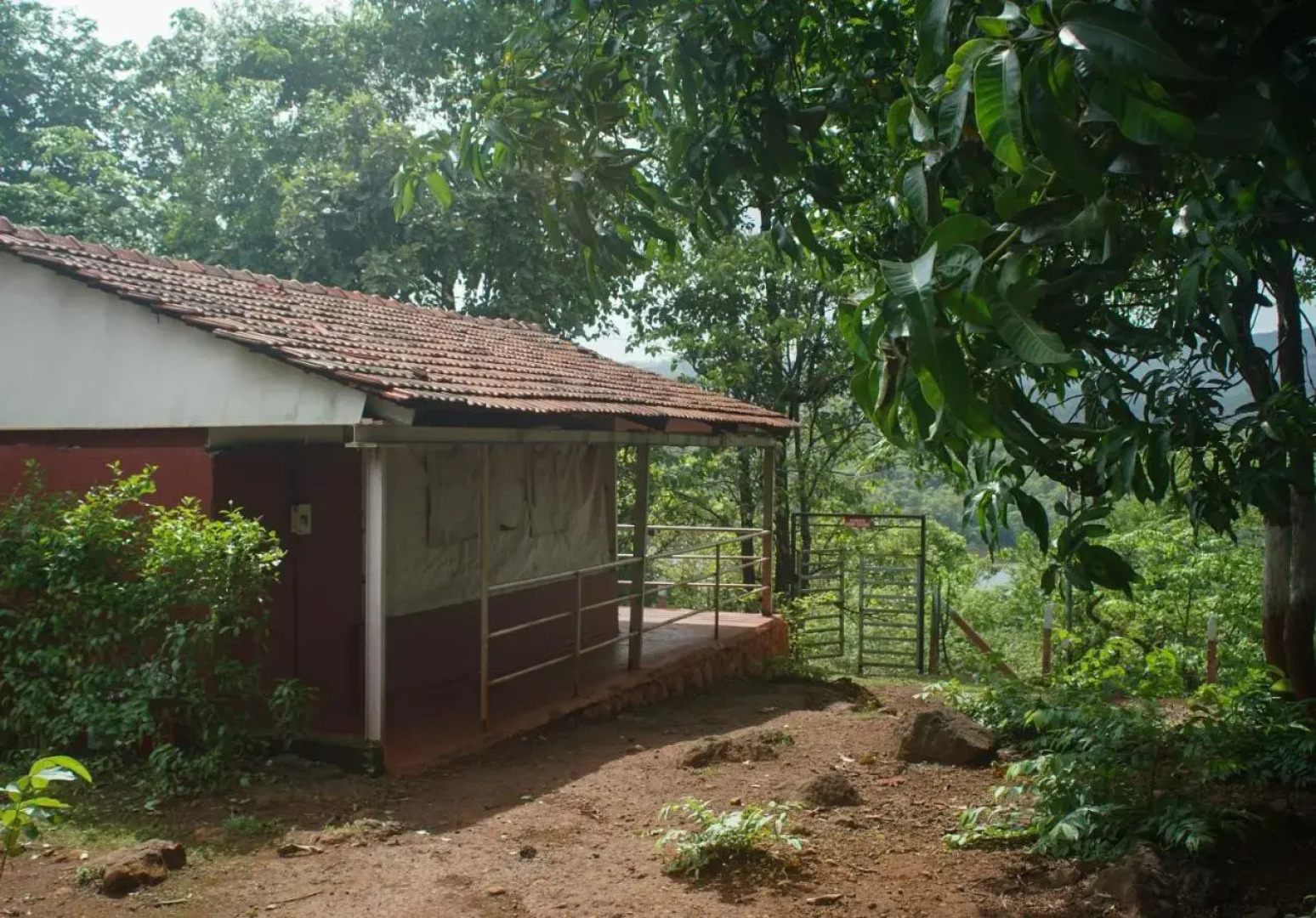 Nature Trails Kundalika, Kolad