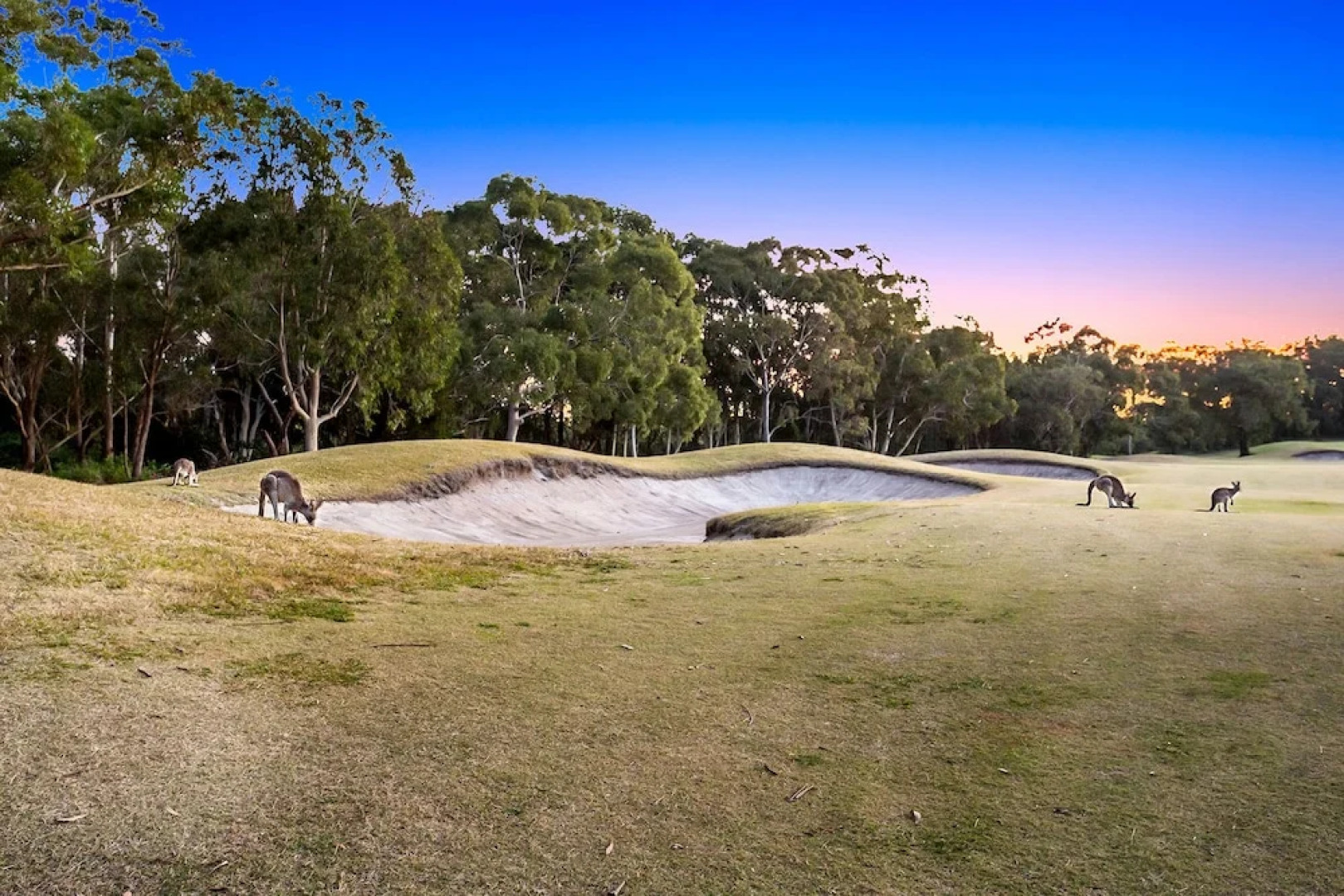 The Lotus Retreat at Horizons, Villa 136