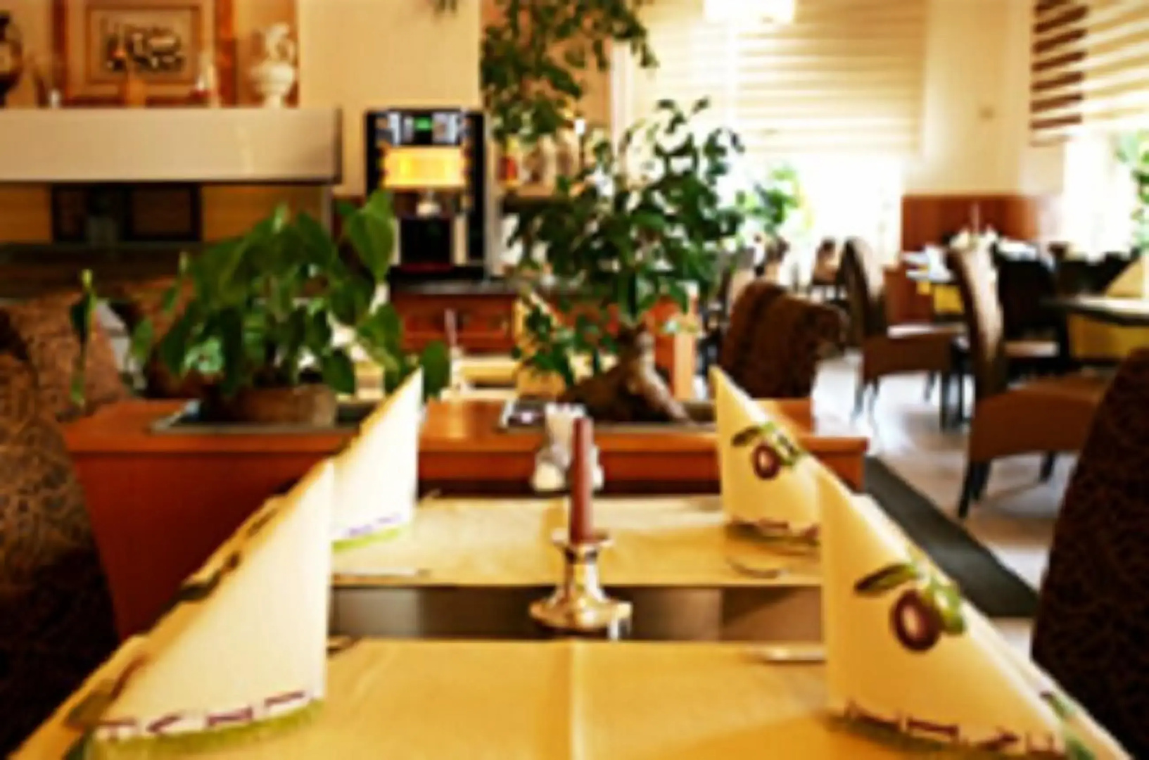 Hotel Restaurant Alexandros