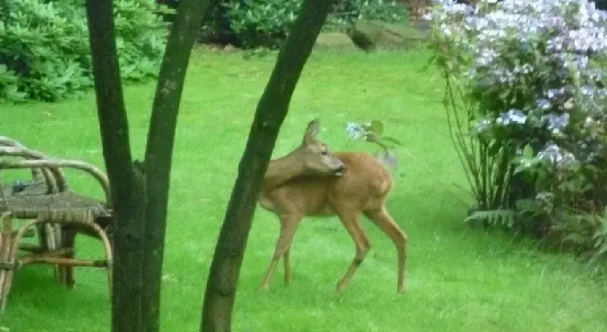 B&B Nijmegen-Groesbeek