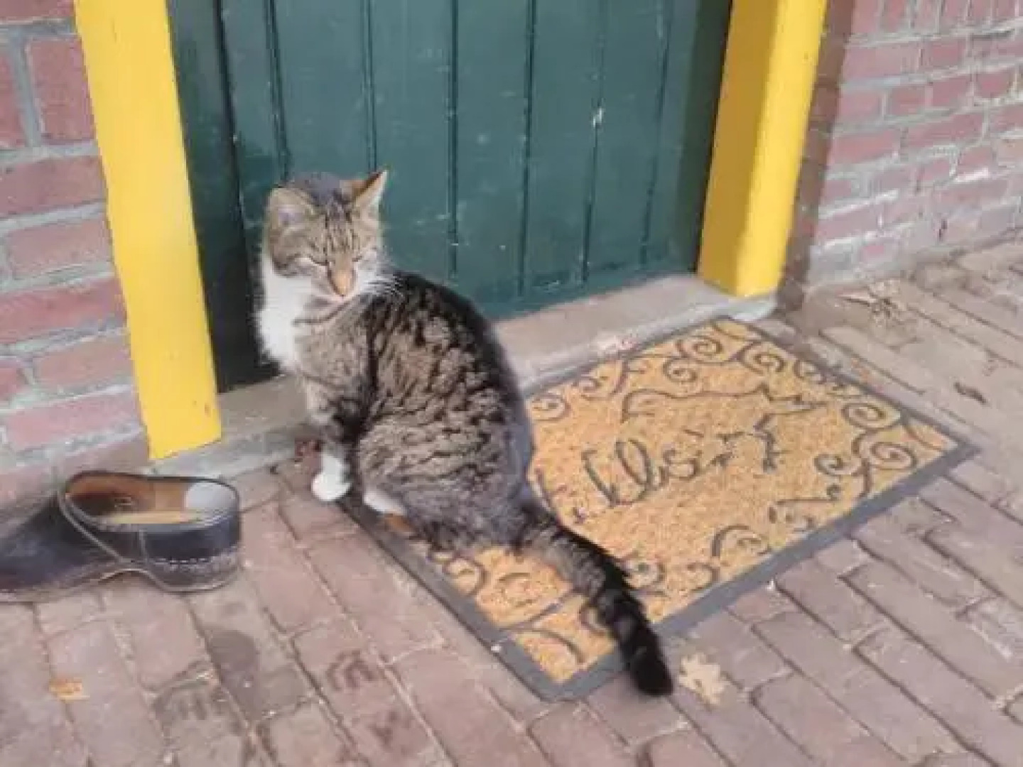 Appartement Hoeve Polsdonk