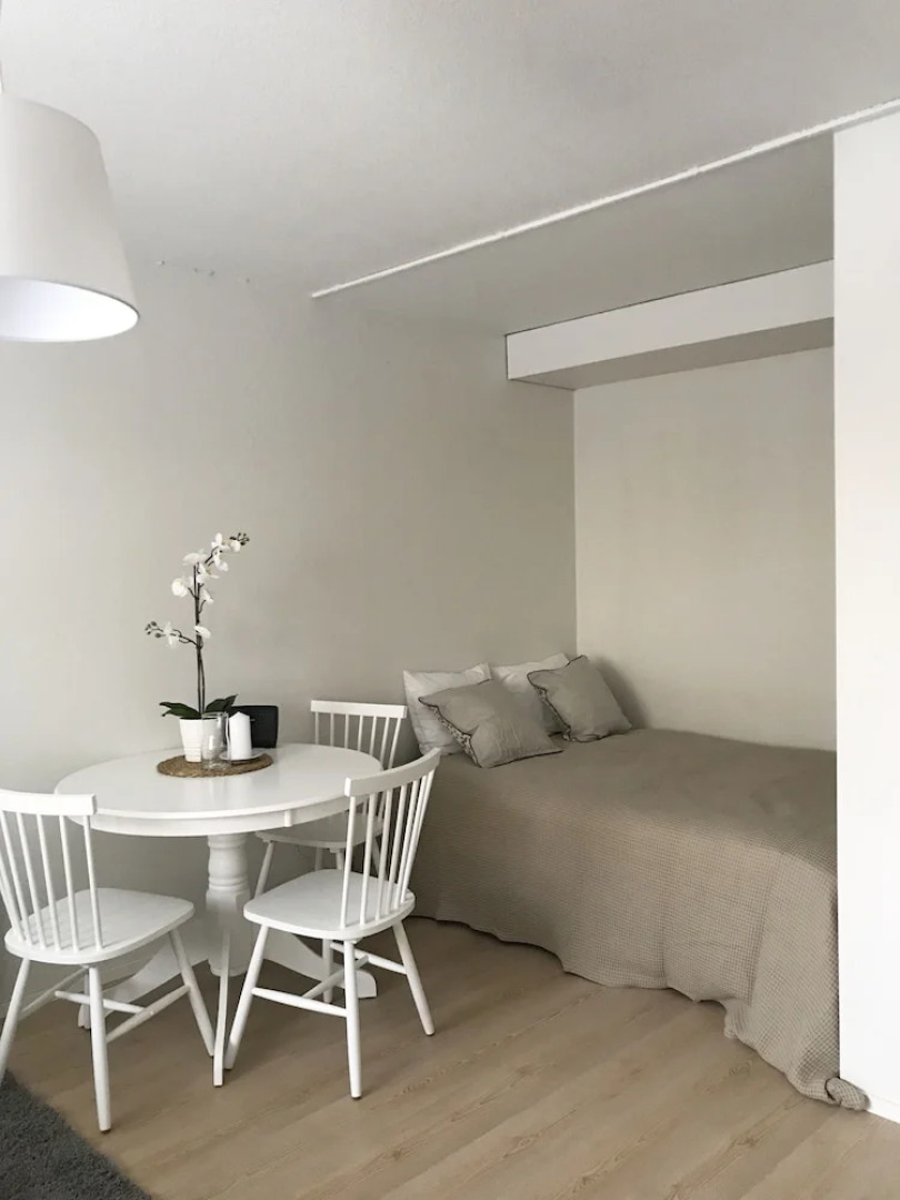 SSA Spot Bright 1-room apartment 5004B10