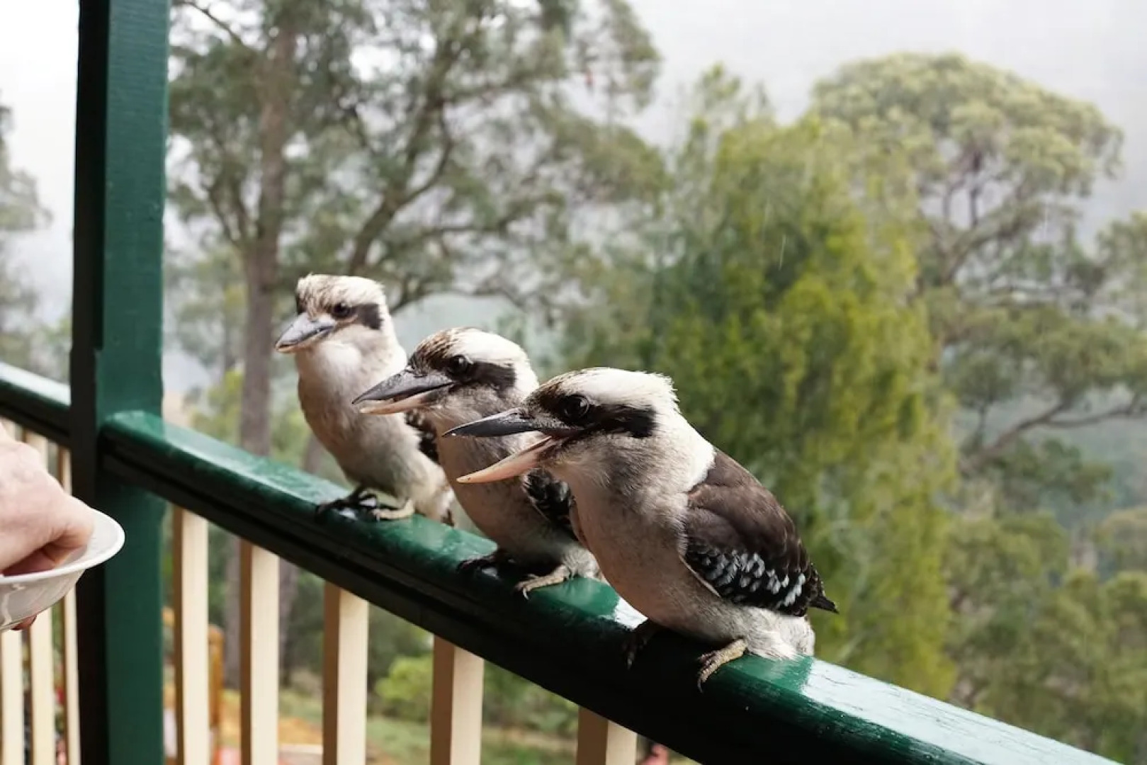 Wild Cherry Bed and Breakfast