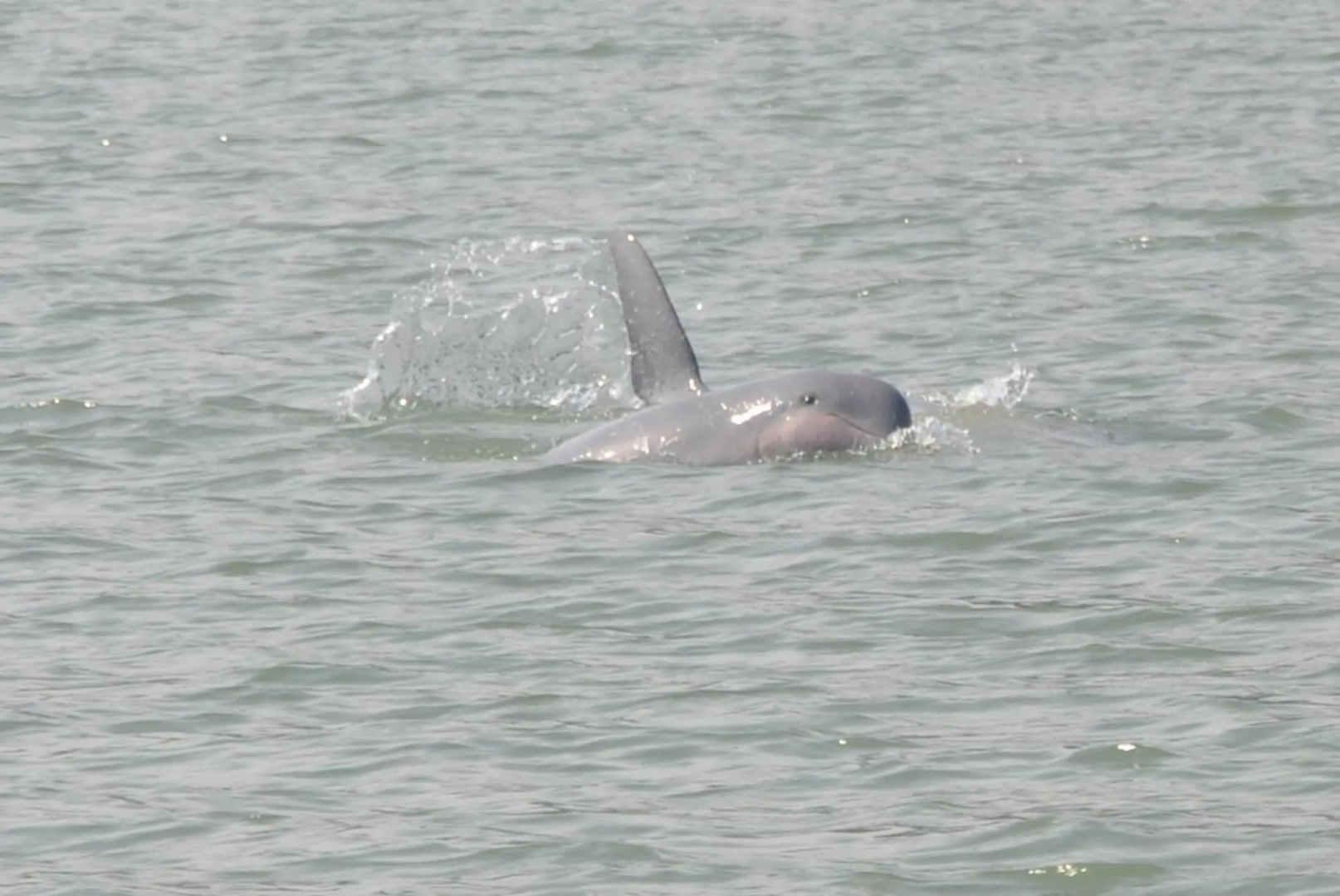 Permai Rainforest Resort