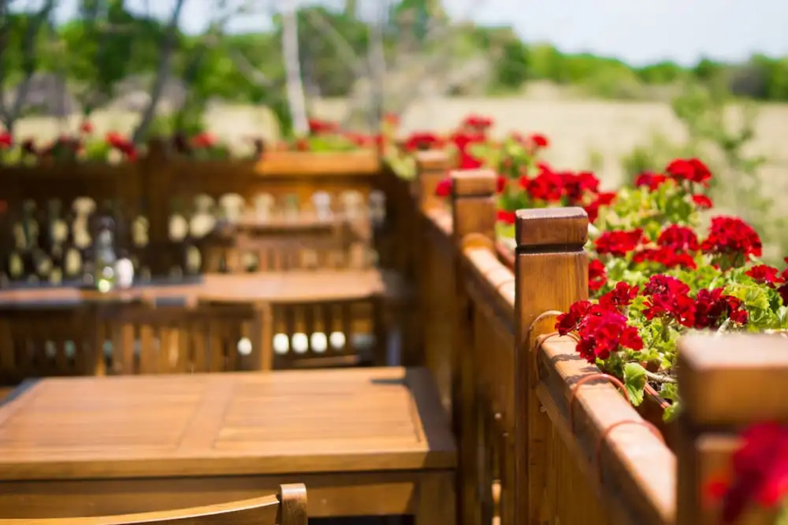 Wine & SPA Complex Starossel