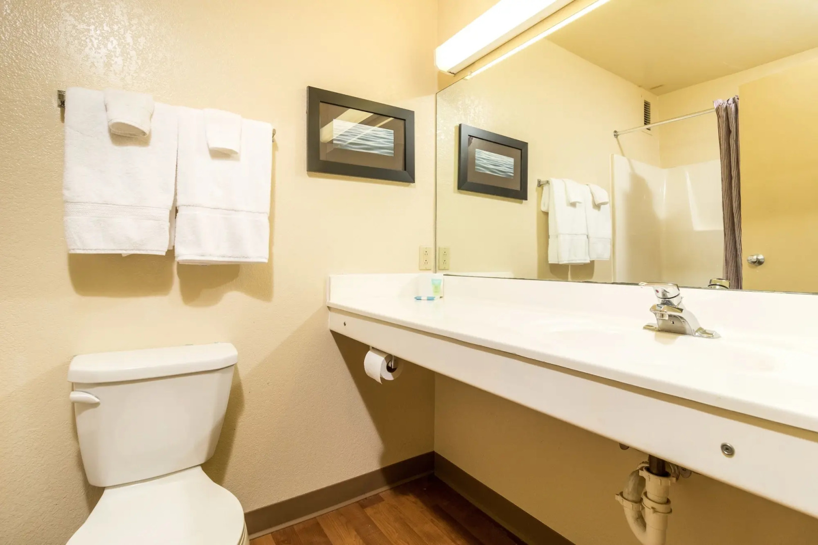 Siegel Select Memphis