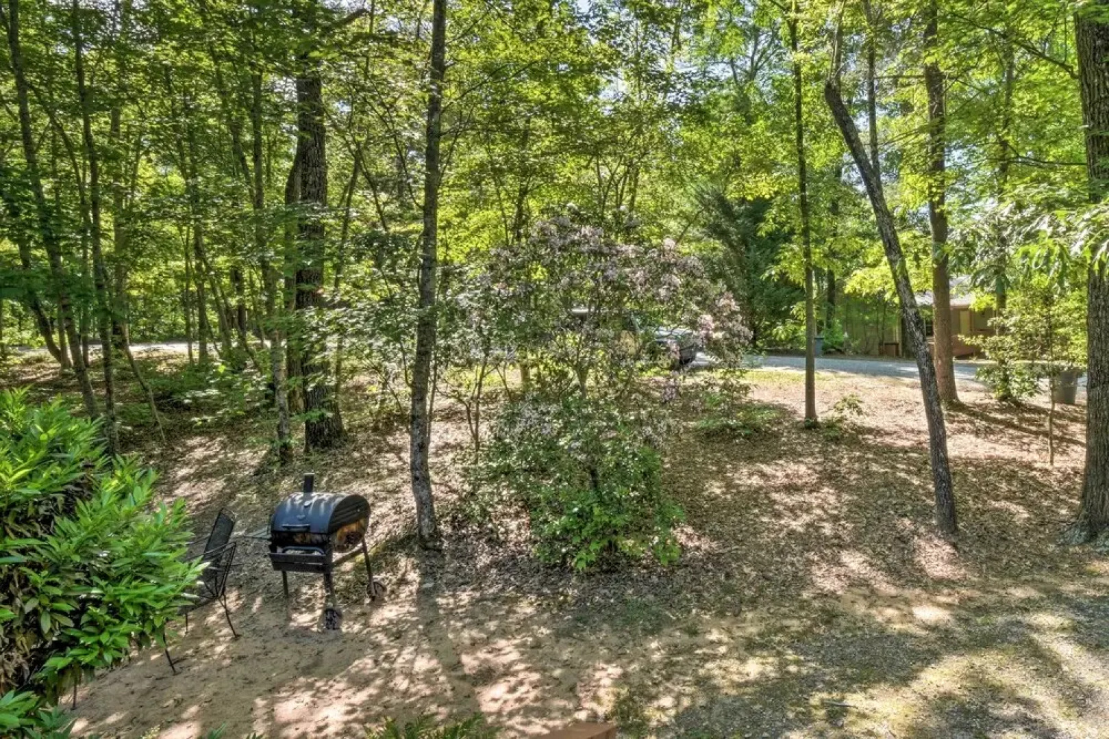 The Bear Paw at the Sautee Mountain Retreat