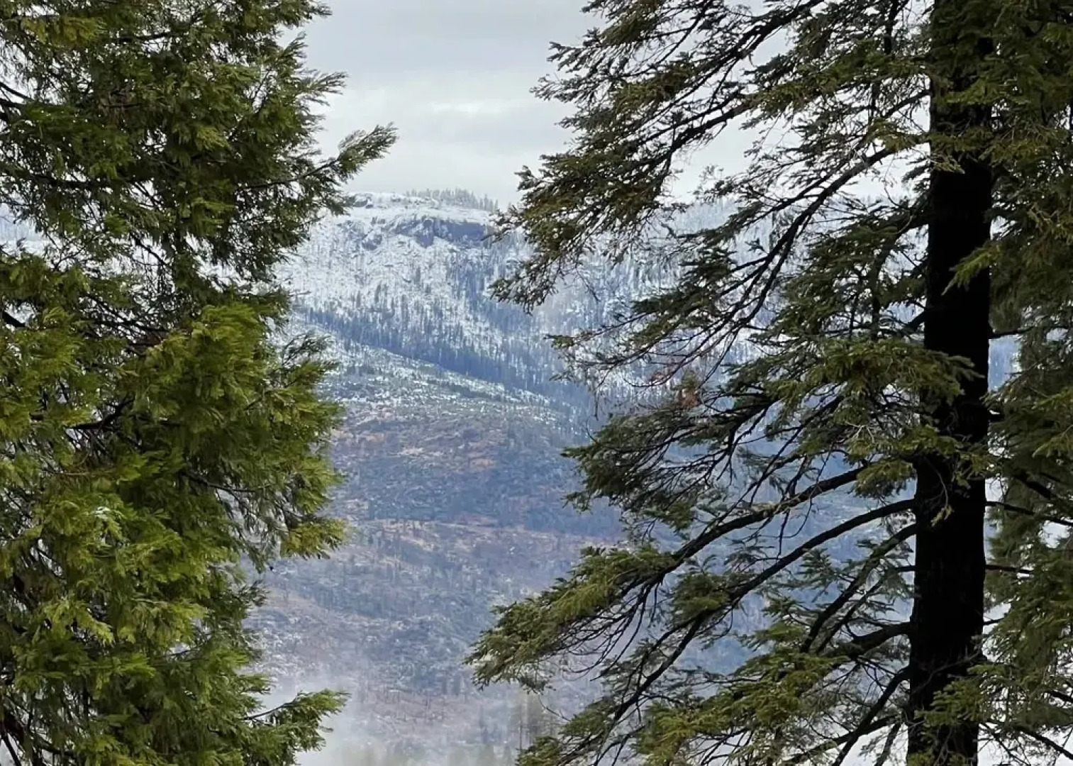 Yosemite Aviary and Quail Within Yosemite - 2 Separate Units, Up To 14 Guests!