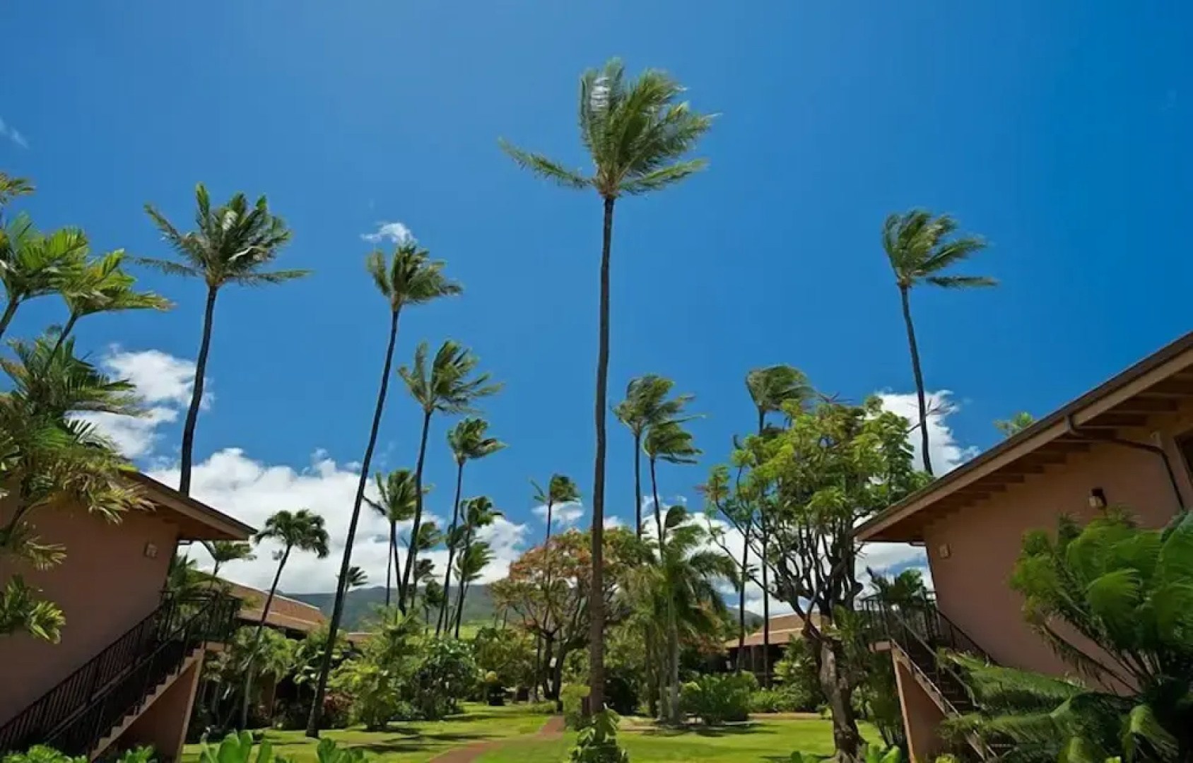 Maui Sands #6e 1 Bedroom Condo by RedAwning
