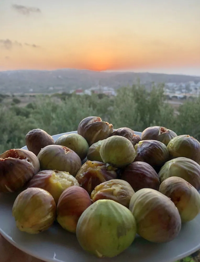 Theoxenia Suites & Apartments