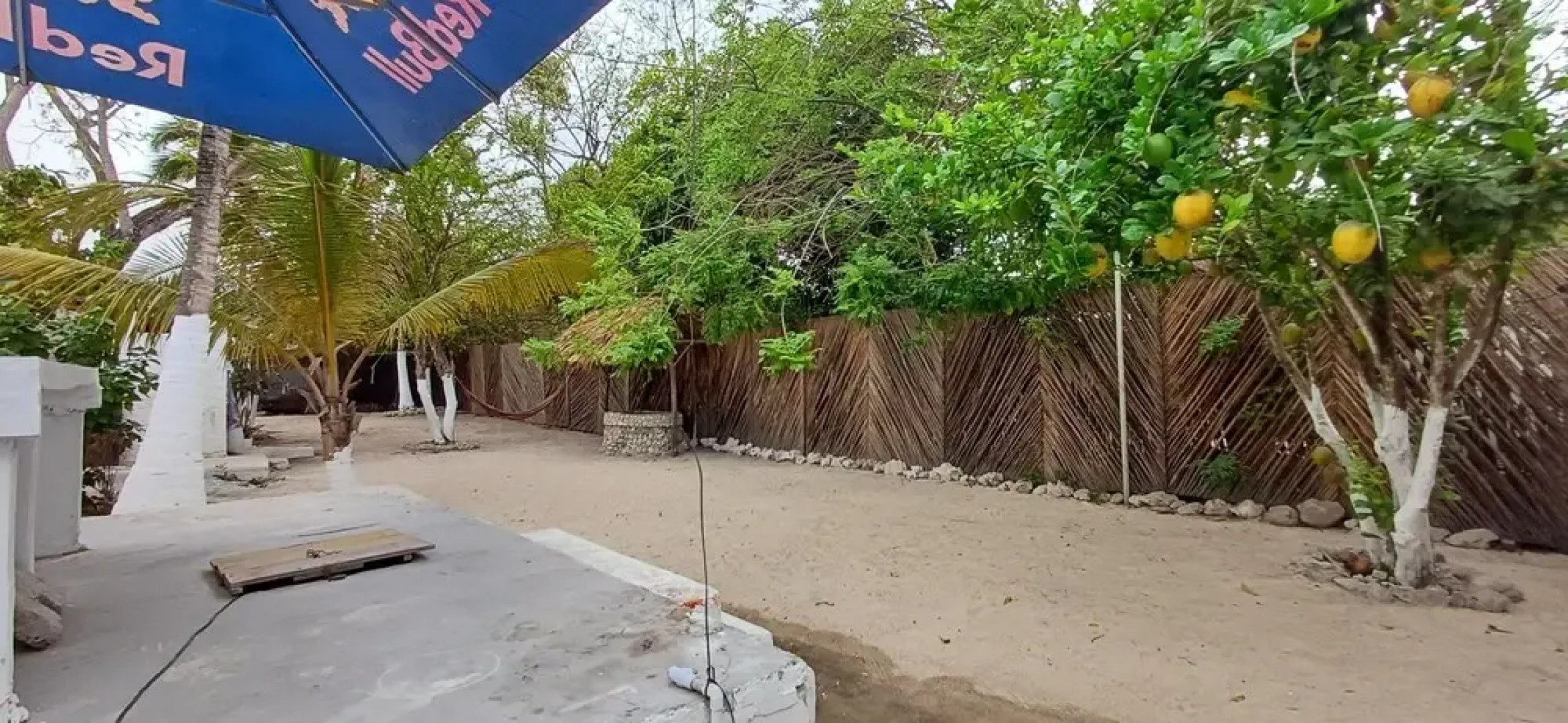 Punta Arena Beach Hostel