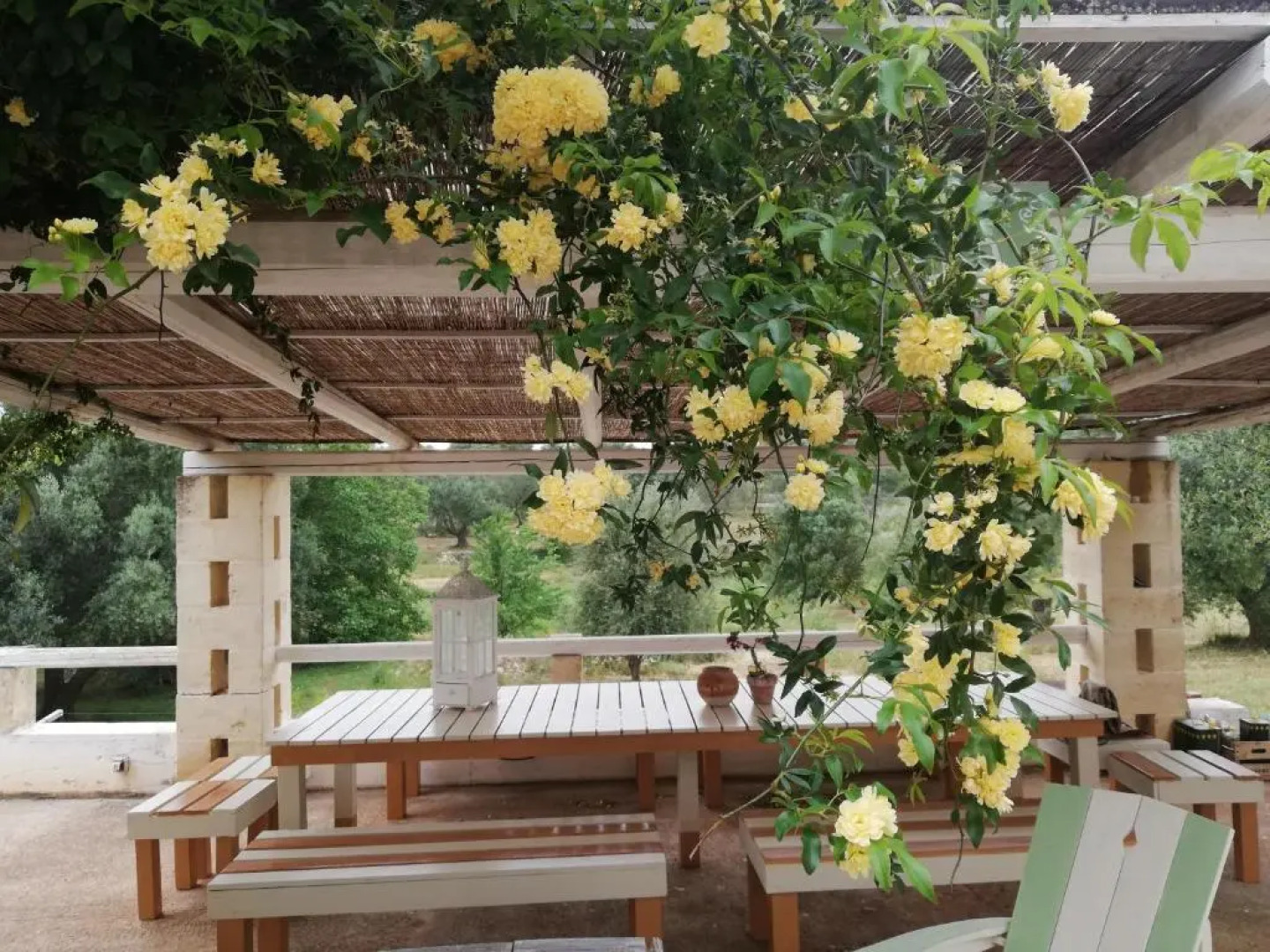 B&B Giovannarolla Green House