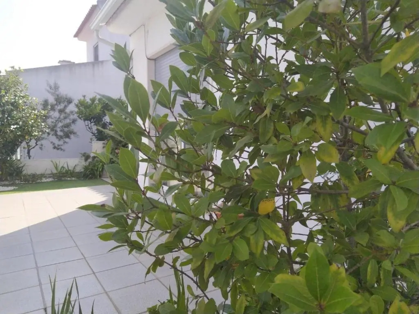 Nazaré with Garden and Barbecue