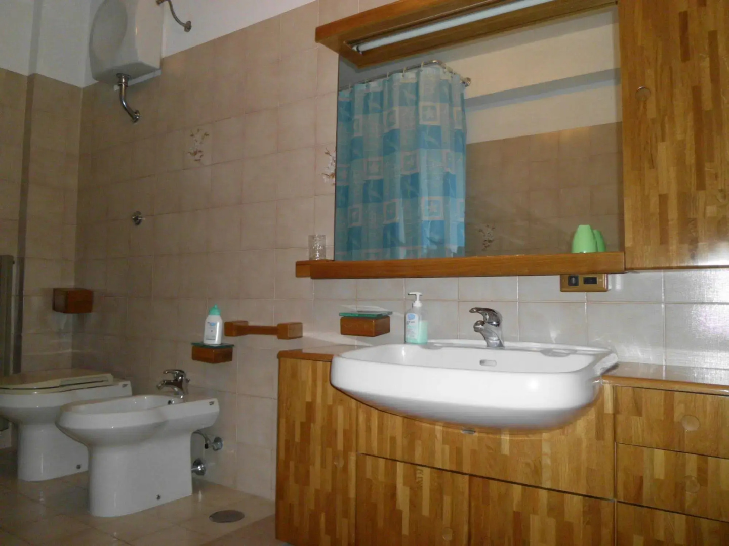 B&B Forconensis