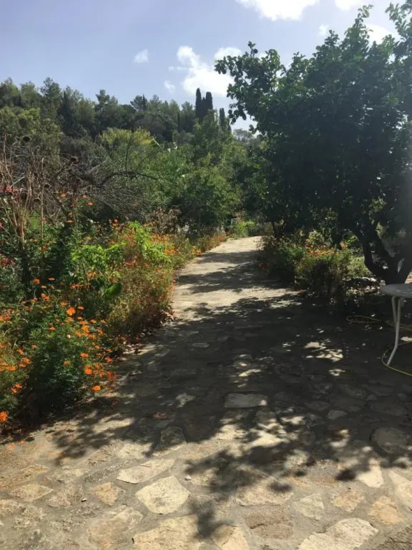 Alekos Rooms and Apartments