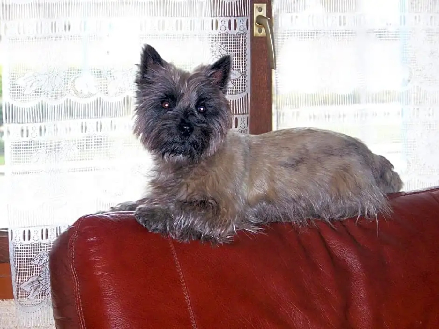 Hotel Restaurant Les Templiers