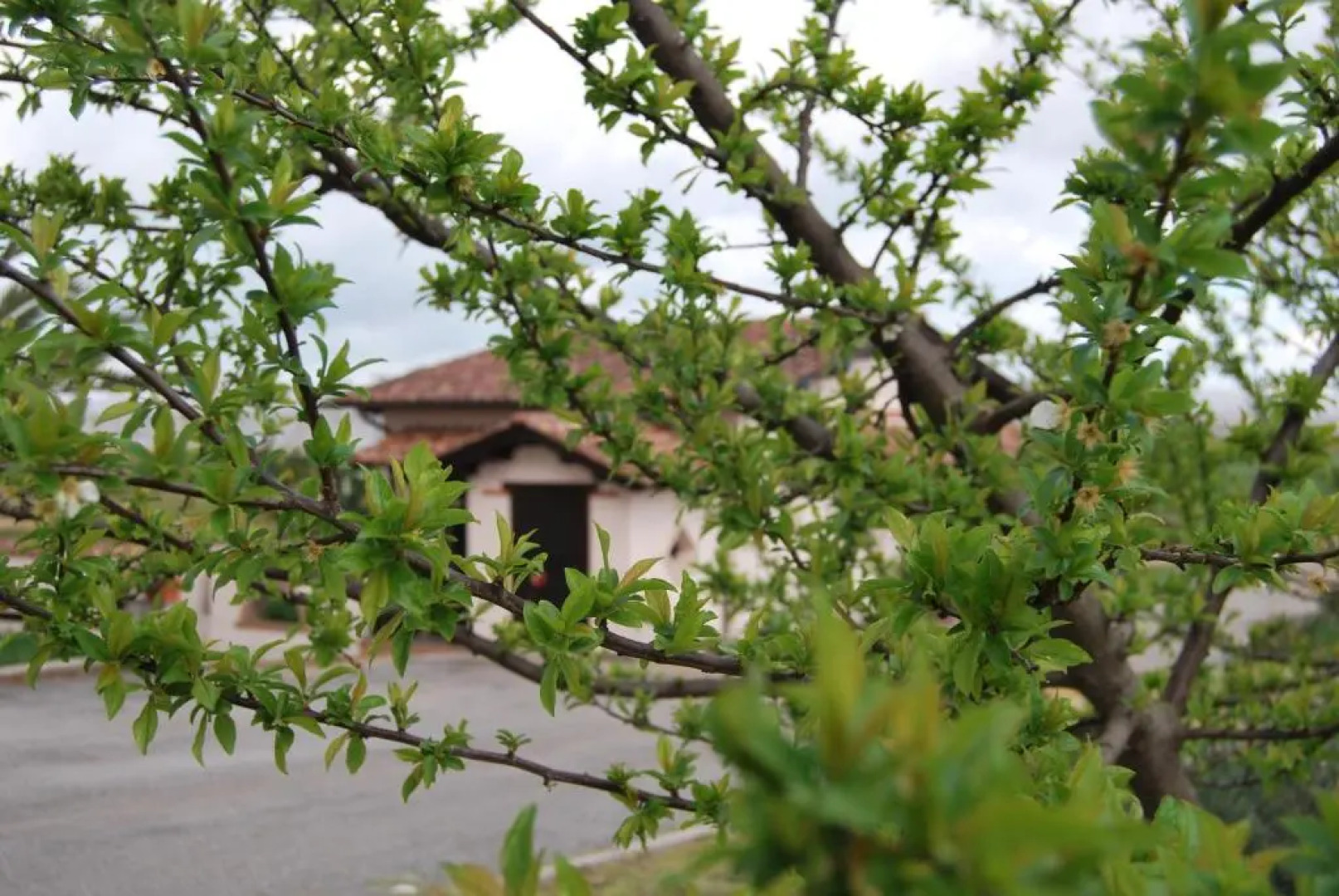 Agriturismo Torre Cristina