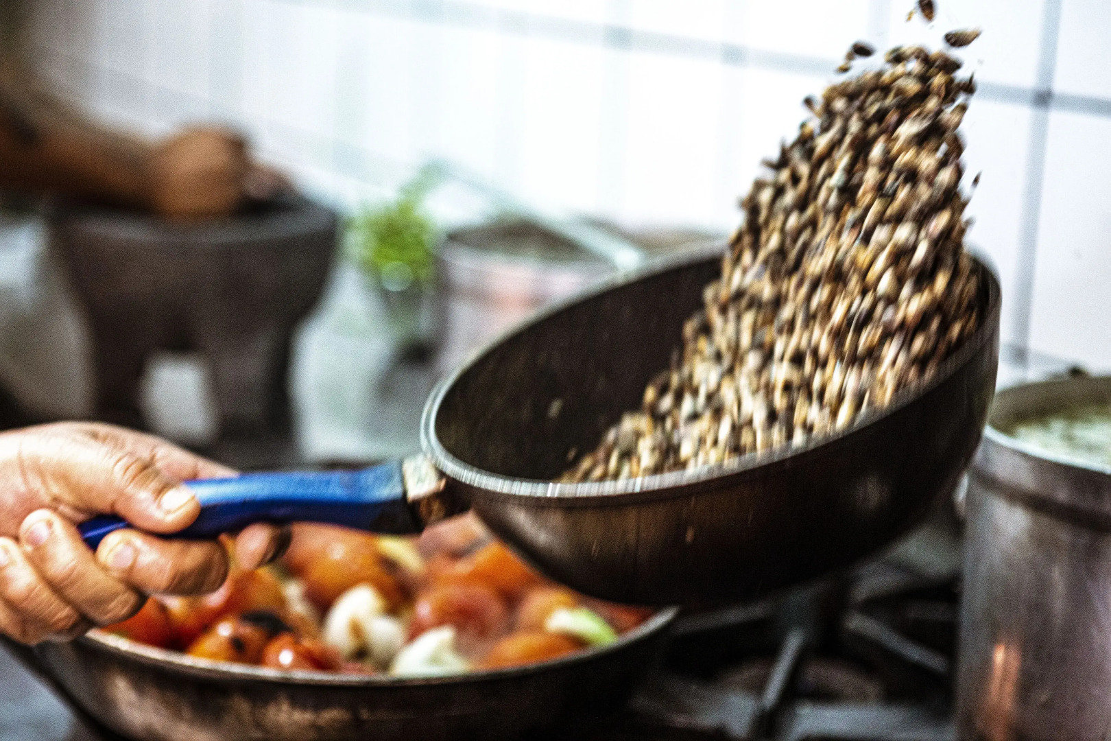 Hotel Makaabá Eco-Boutique