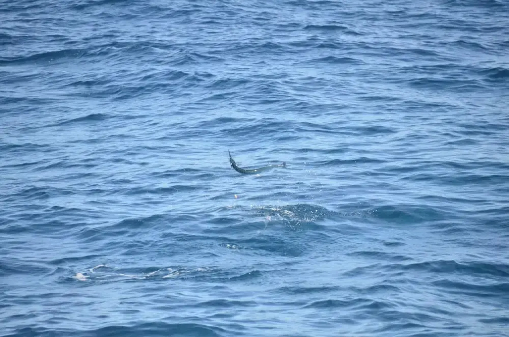 Villa With 2 Bedrooms in Saint Joseph Vincendo, With Private Pool, Enc