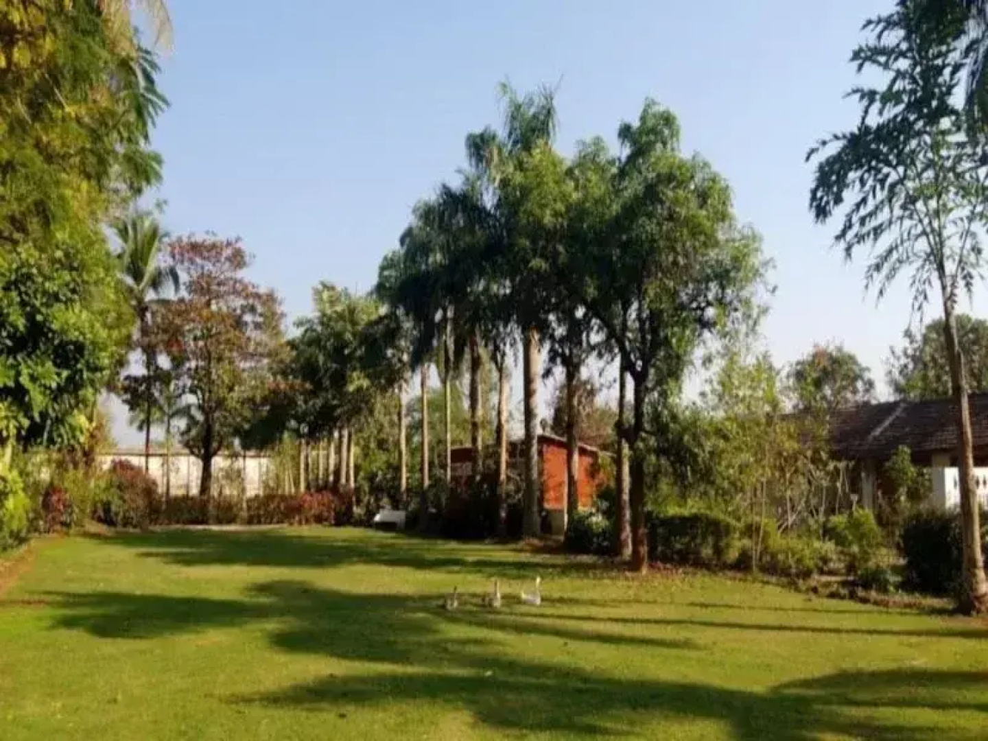 Jambughoda Palace - A home for Nature Lovers