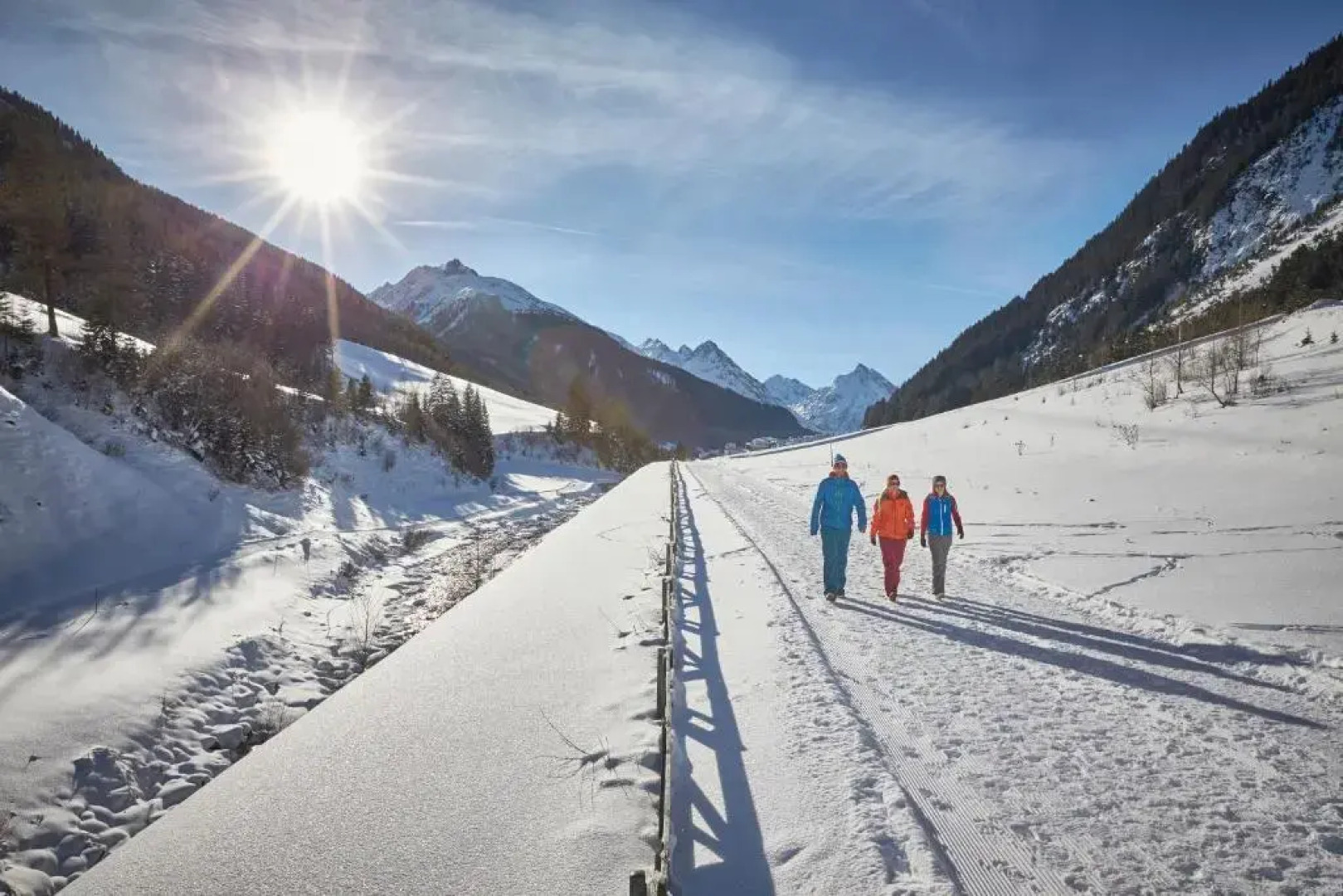 Appartements Aurikel Corso