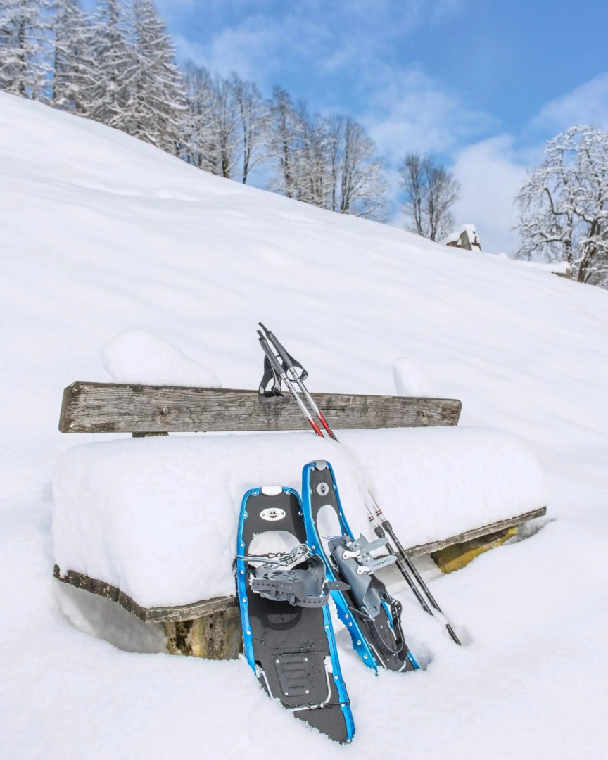 Private Suites Hoffischergasse