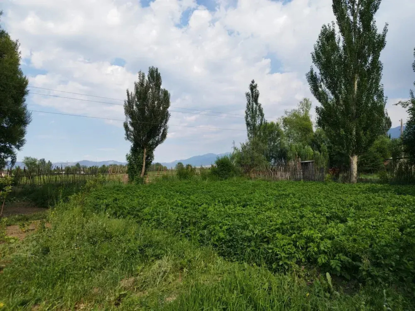 Travel Around Guest House