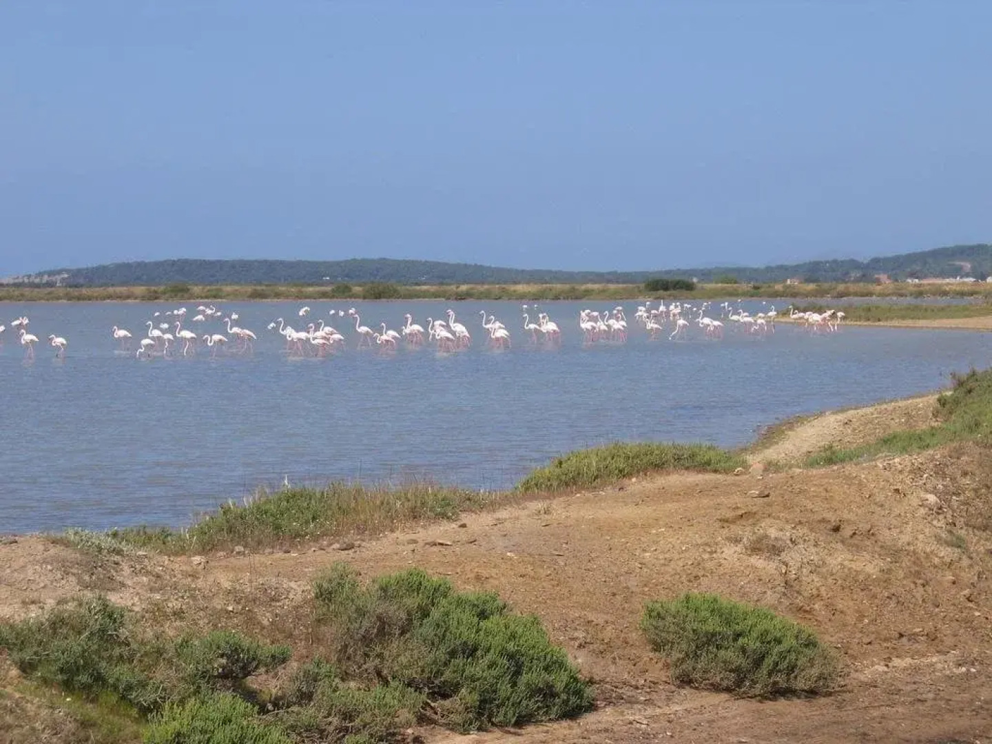 Domus Oriens - Villa