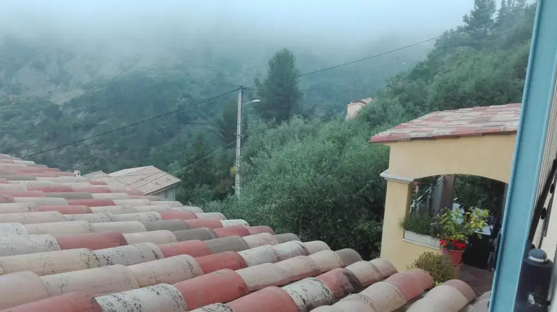 Oliveraie de la Leuziere