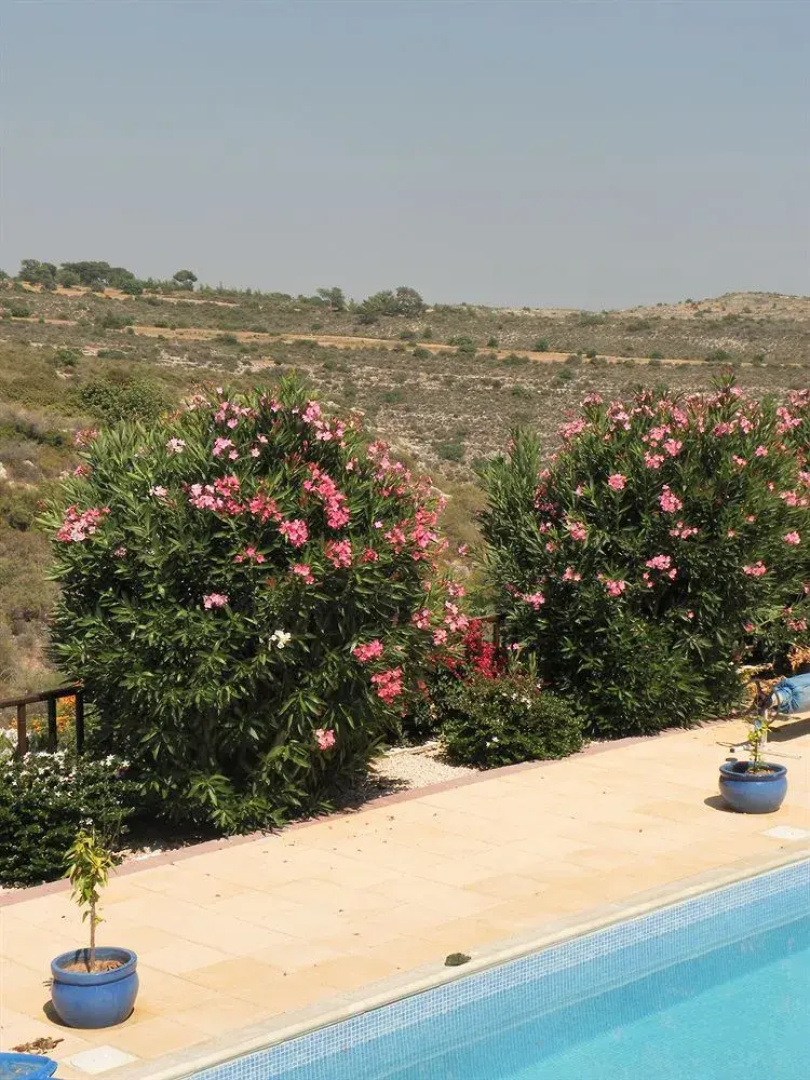 Villa Jasminum Bed & Breakfast