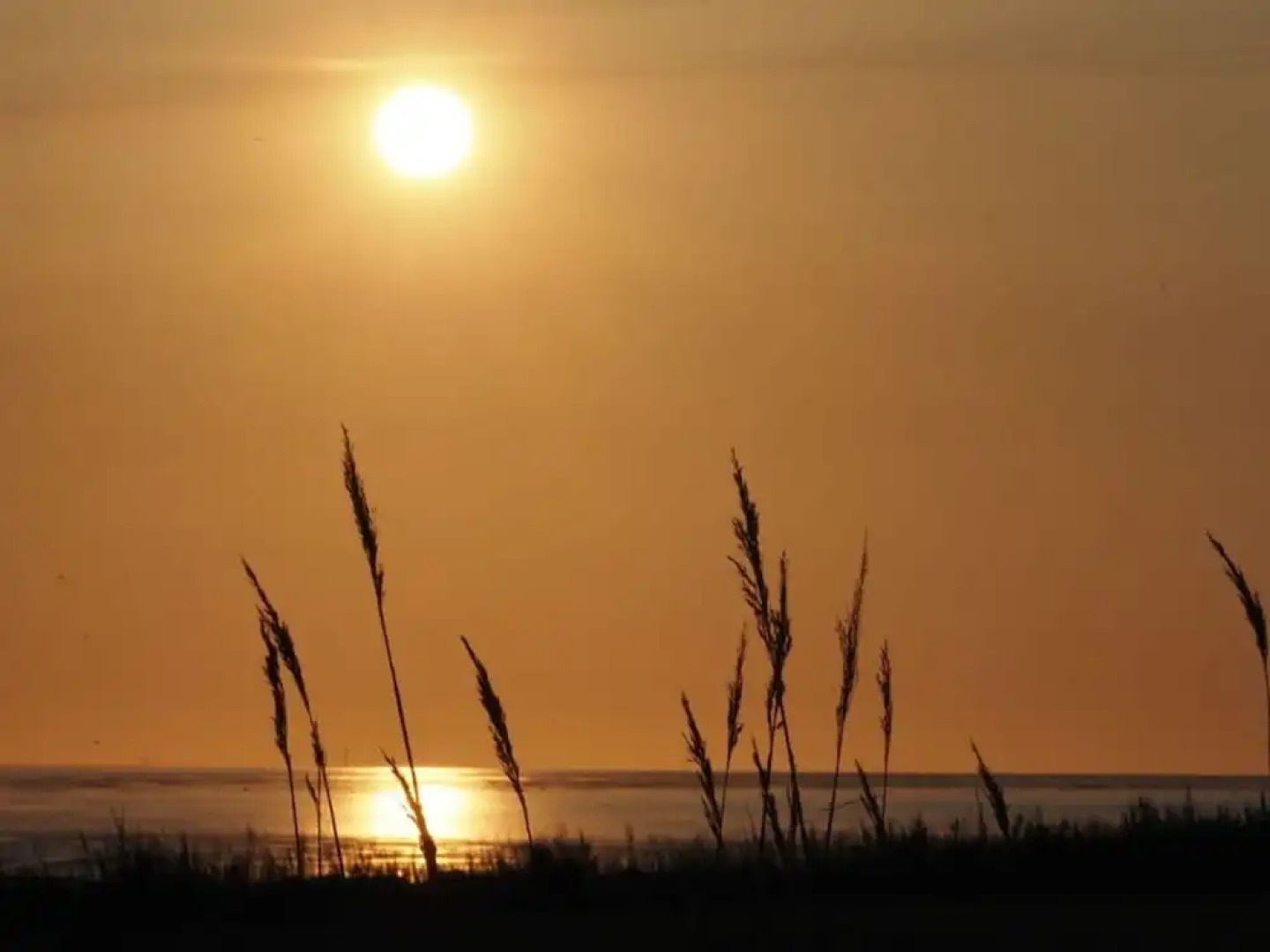 Deichloft Modern Retreat