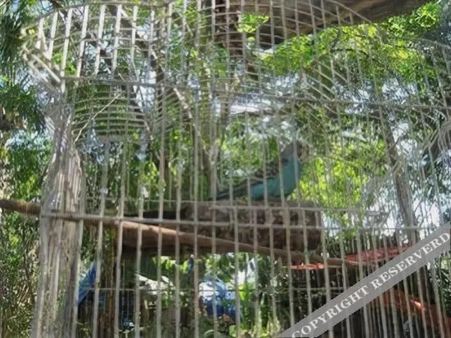 Yucatan Mayan Retreat Ecohotel And Camping