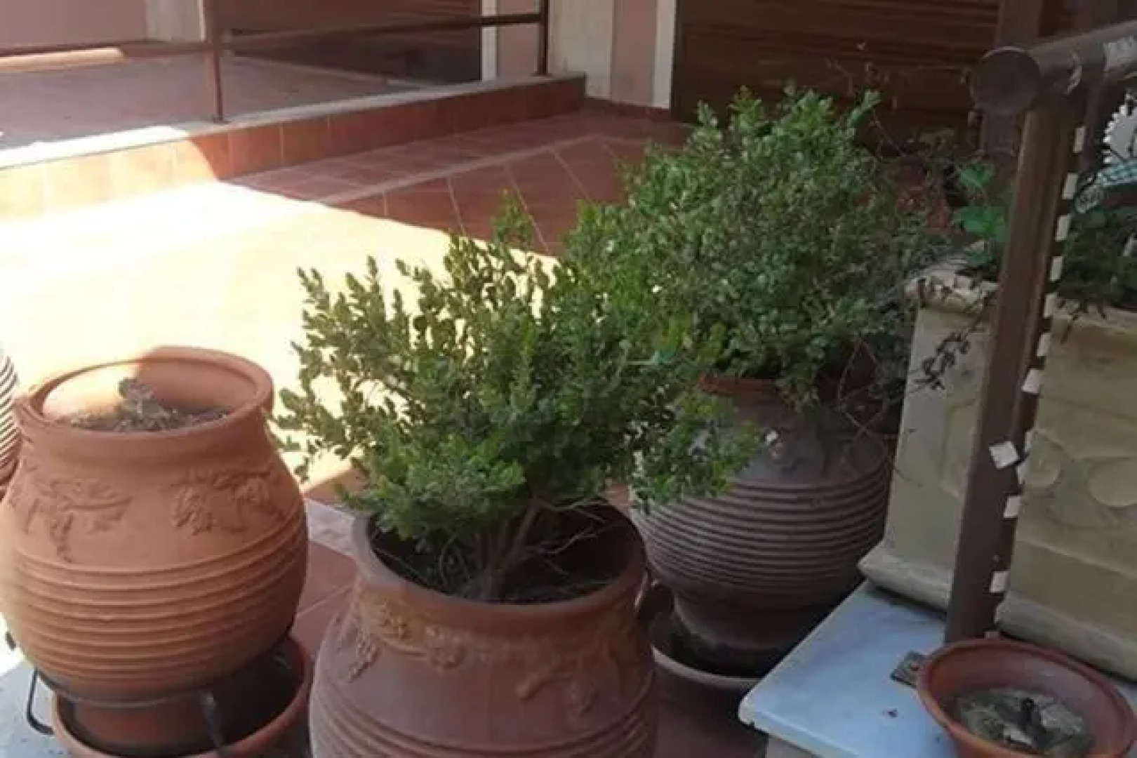 Sithonia Alekos Luxury Experience