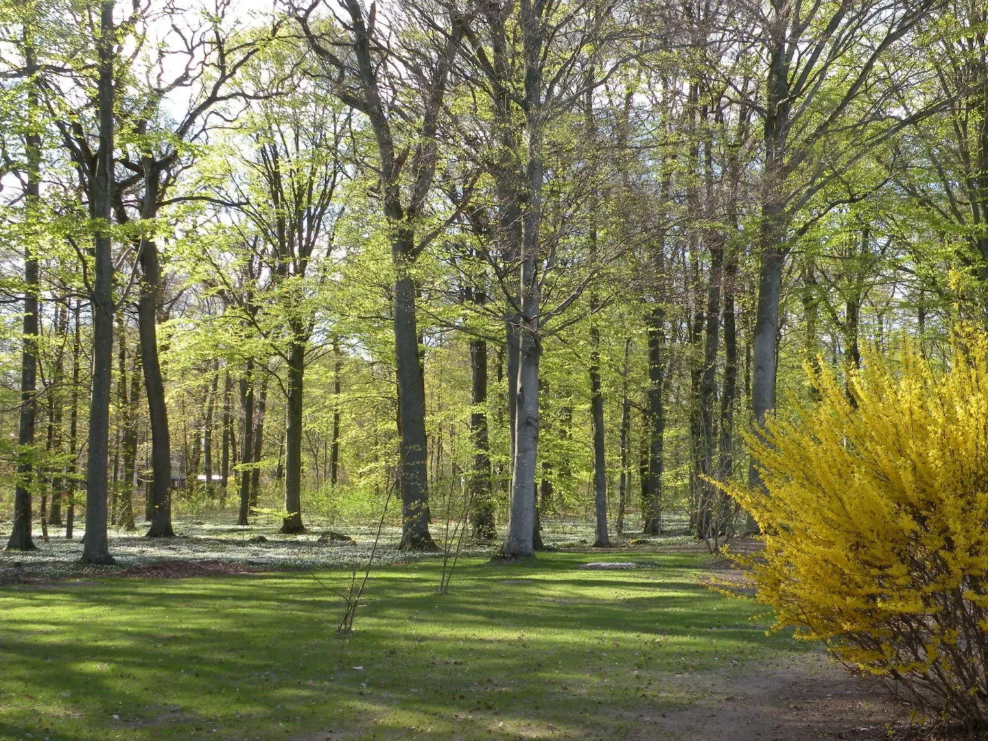 Best Western Valhall Park Hotell