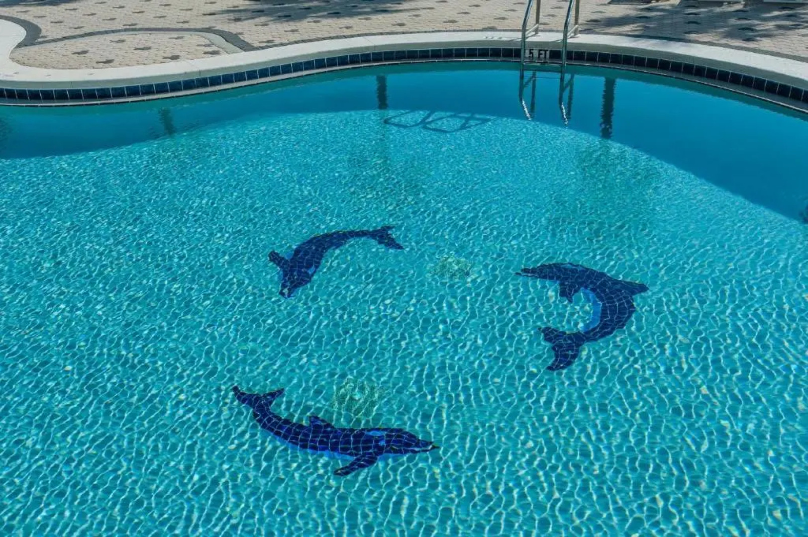 Emerald Dolphin unit 650 - Three Bedroom Condo