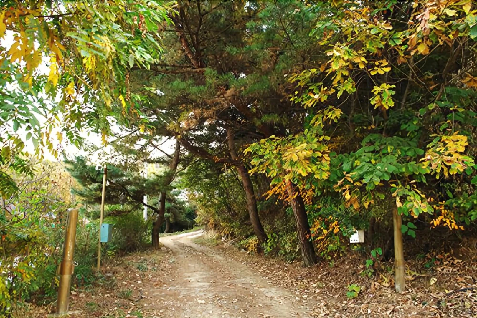 Yongin The Who Pension