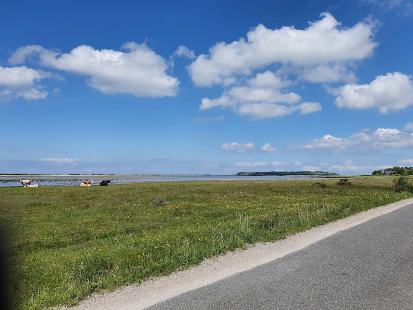 Skortskær Bondegårdsferie