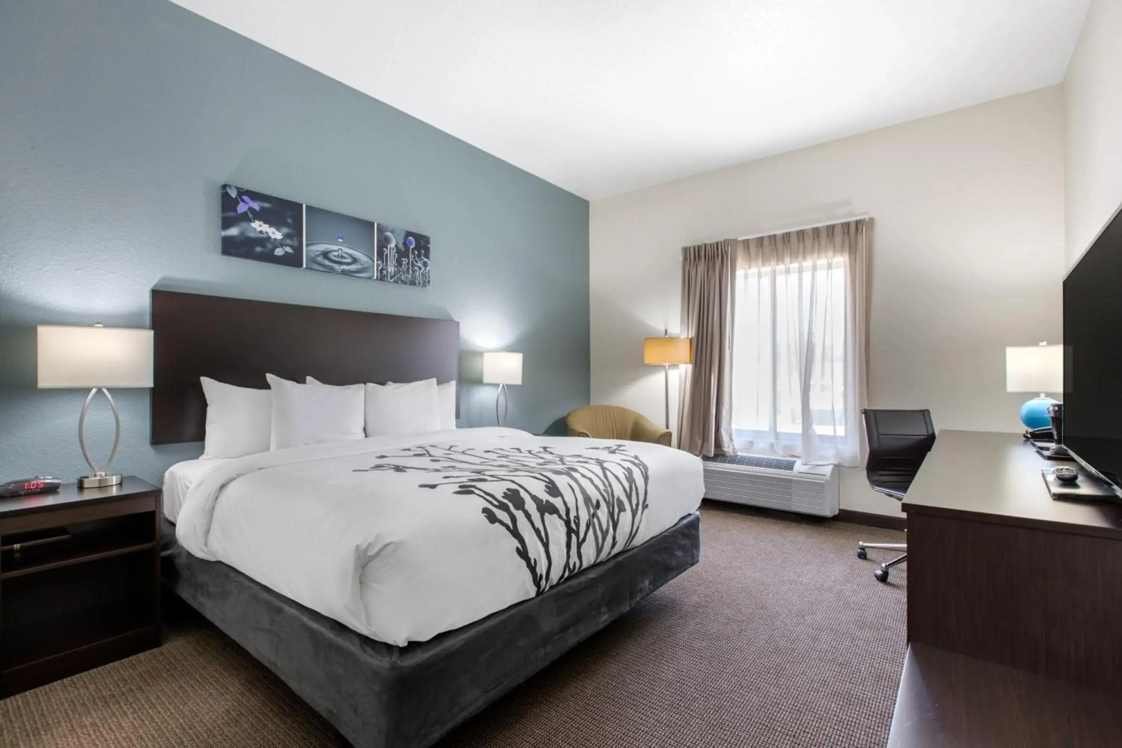 Sleep Inn & Suites Ankeny - Des Moines