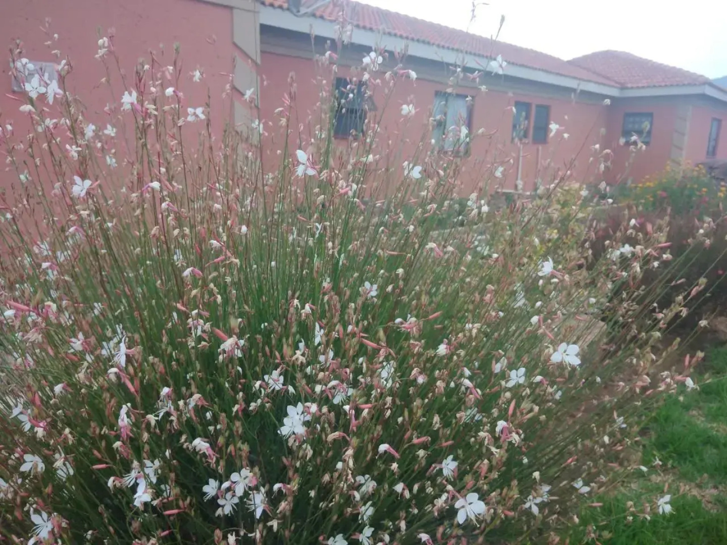 Twilight Breeze Lodge