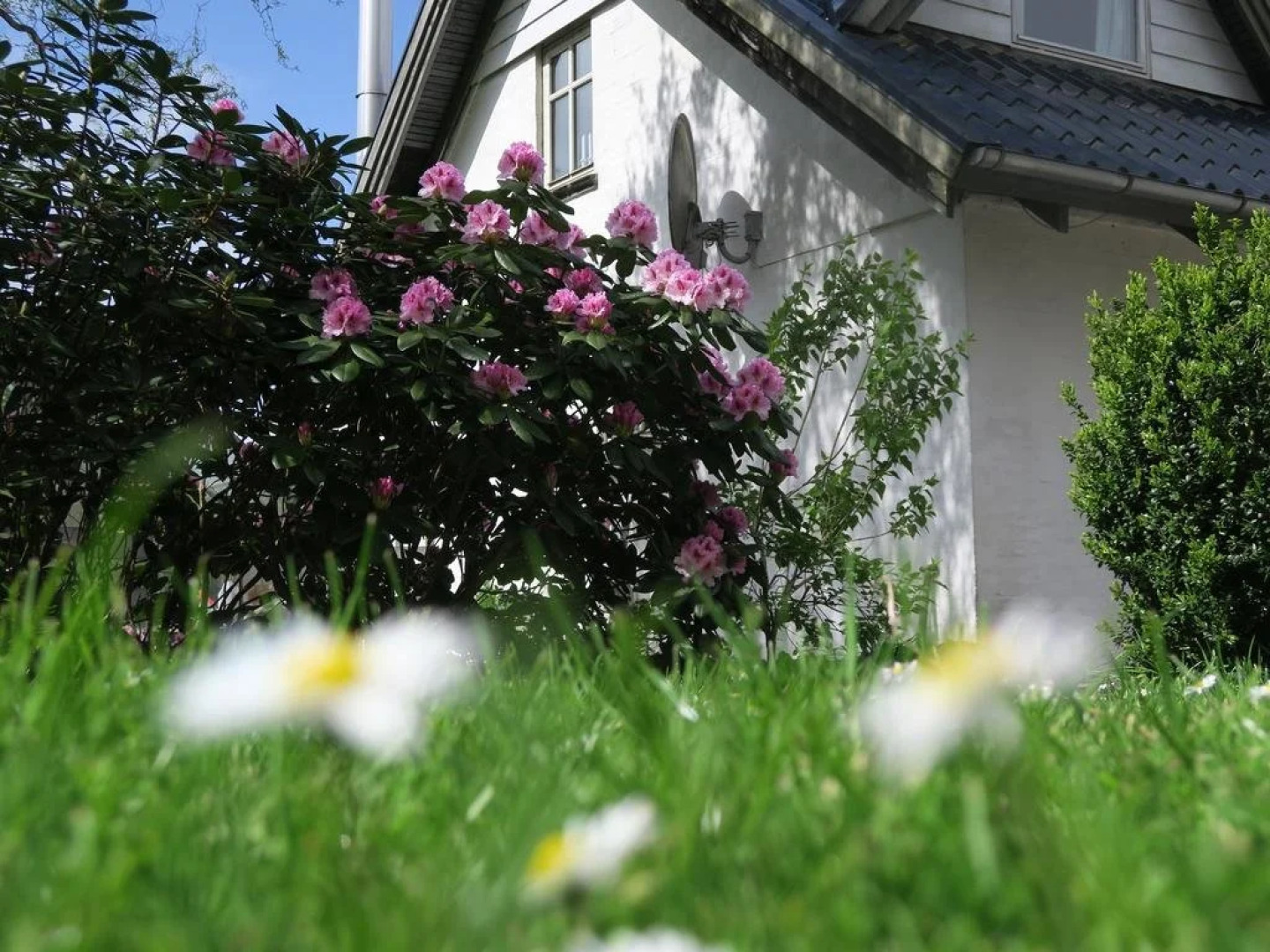 B&B Det Gamle Savværk